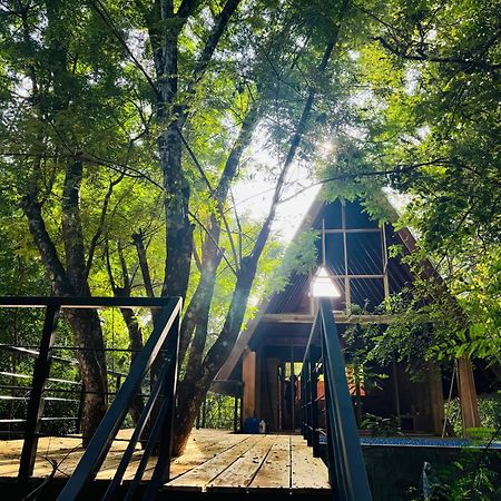 Habarana Tree House Mutu Village Dış mekan fotoğraf