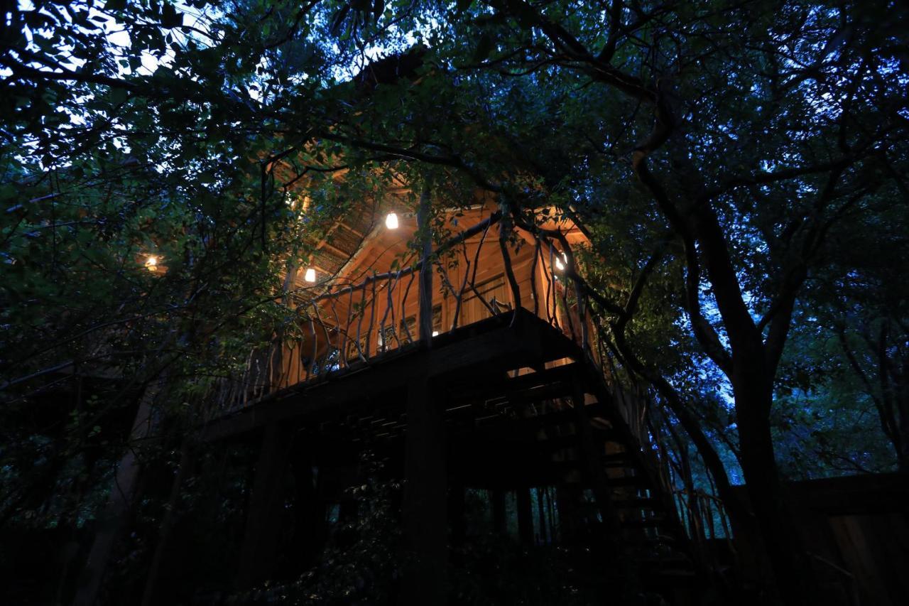 Habarana Tree House Mutu Village Dış mekan fotoğraf