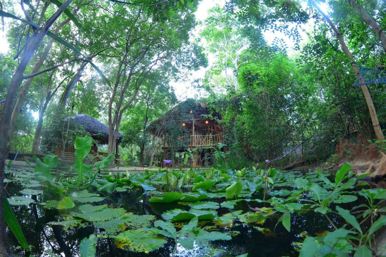 Habarana Tree House Mutu Village Dış mekan fotoğraf